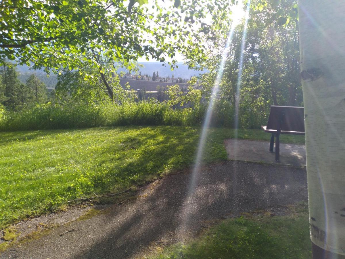 Appletree Inn Radium Hot Springs Dış mekan fotoğraf