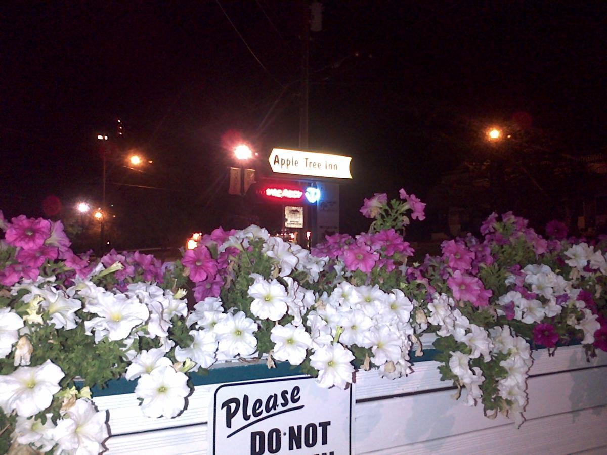 Appletree Inn Radium Hot Springs Dış mekan fotoğraf